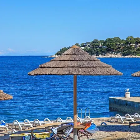 Apartment Ferienwohnung Fuer 8 Personen Ca 150 Qm In Porec, Istrien Istrische Riviera